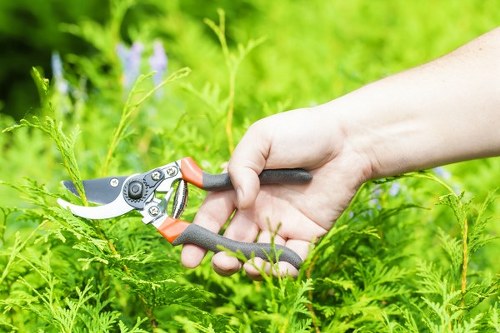 Volunteers exchanging tools and plants at a reuse event in the garden